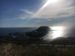 -企鹅岛