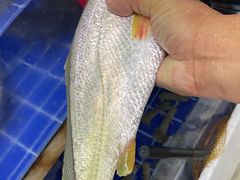 -阿杰臻选海鲜饭店(普陀山店)