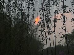 -元大都城垣遗址公园