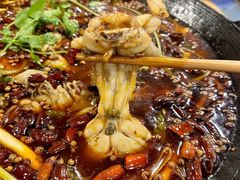 -鸿顺老铁锅美蛙鱼府(解放碑店)