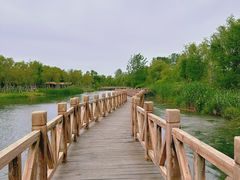 -溱湖国家湿地公园