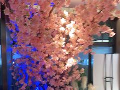 -野妹火锅(龙岗店)