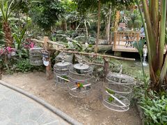 -南宫五洲植物乐园