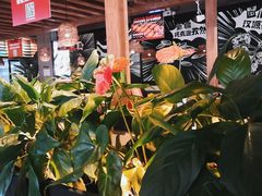 -管氏翅吧(台湾街店)