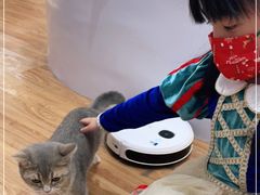 -COLOR PETS 撸猫馆·购猫·猫咖(长风大悦城店)