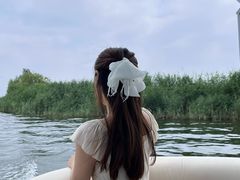 -白洋淀景区