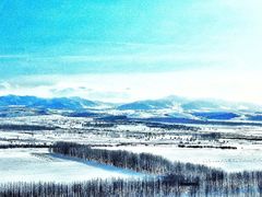 -塞罕坝国家级自然保护区