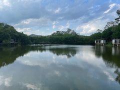 -老木棉·匠园