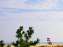 -日照海滨国家森林公园