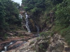 -银瓶嘴森林公园