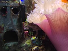 -太平洋海底世界