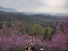 -天台山赤城山景区