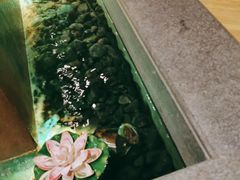 -沐泷泉(南风大剧院店)