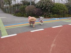 -上海长兴岛郊野公园