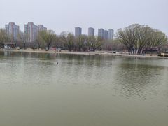 -太阳宫公园