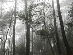 -四明山国家森林公园