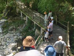 -牛背梁国家森林公园