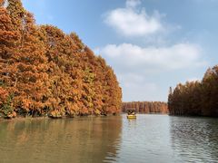 -上海海湾国家森林公园