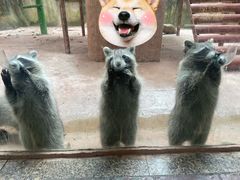-杭州野生动物世界