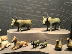 -广西壮族自治区博物馆