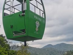 -野象谷景区