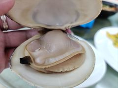 -红月湾海鲜饭店•沙滩海景(双月湾店)