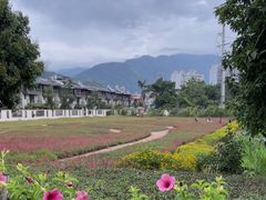 -孔雀湖生态旅游区