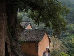 -杨家堂村