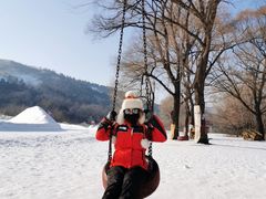 -东北亚滑雪场