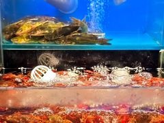 -苏格里岛自助烤肉海鲜火锅(成都金牛万达店)