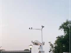 -九龙湖公园