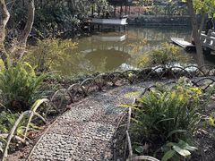 -上海醉白池公园