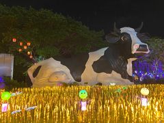 -光明农场大观园