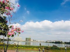 -立新湖公园