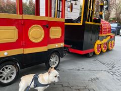 -上海崇明金茂凯悦酒店