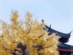 -广东圆玄道观