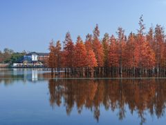 -白鹭湾湿地公园