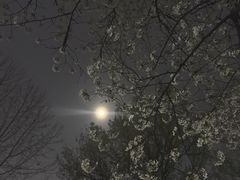 -浙江大学(玉泉校区)