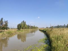 -漩门湾国家湿地公园