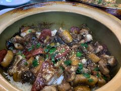 -红星光发煲仔饭(文海店)