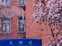 -天津五大道文化旅游区
