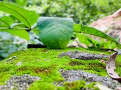 -碓臼峪自然风景区