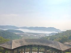-黄贤森林公园