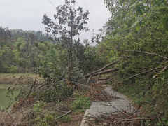 -青龙山国家森林公园