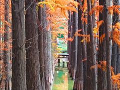 -采石矶景区