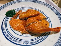 古桐麻香鸡-香港百合居(LCM置汇旭辉广场店)
