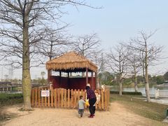 -王借岗森林公园