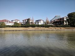 -嘉定紫藤园