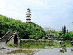 -江心屿景区