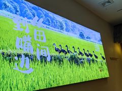 -杨厨的田园饭店(长城路店)